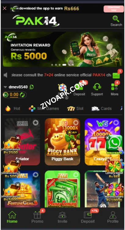 pak14-game