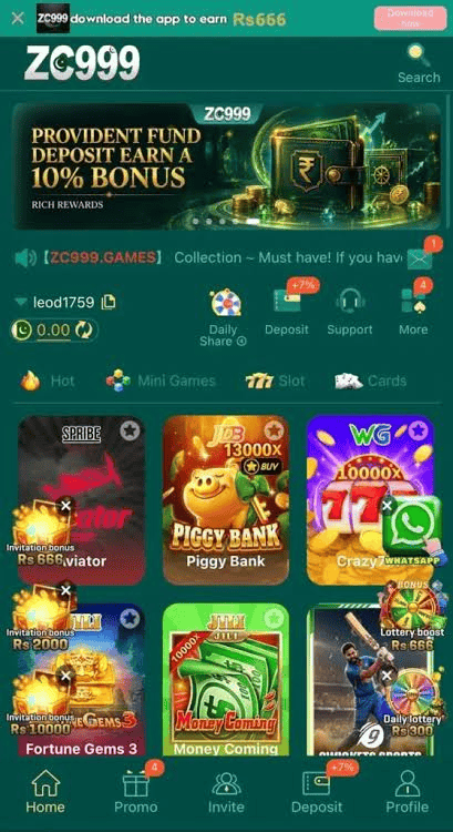 ZC999-game